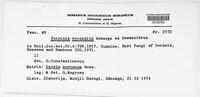 Puccinia recondita image